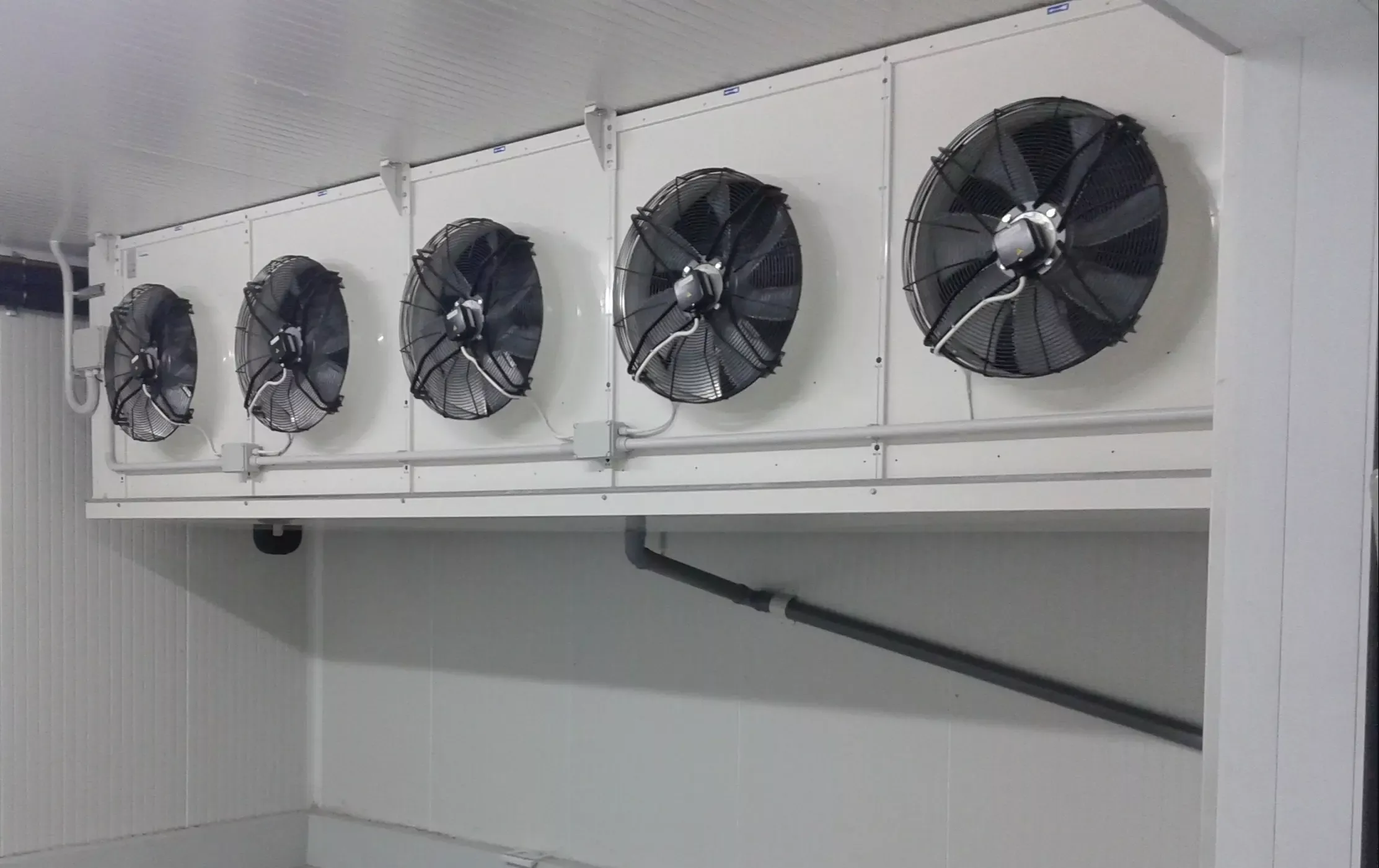 Isparivači - Egerija voće - Prokuplje