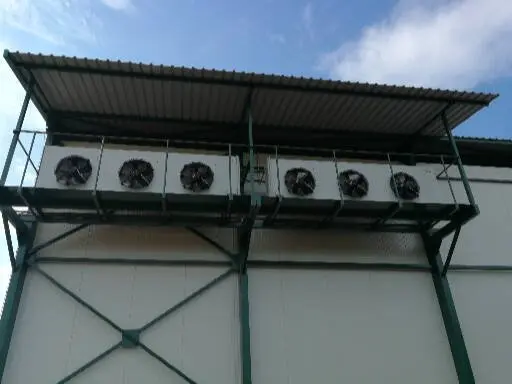 Plantaže Prodanović - Topola